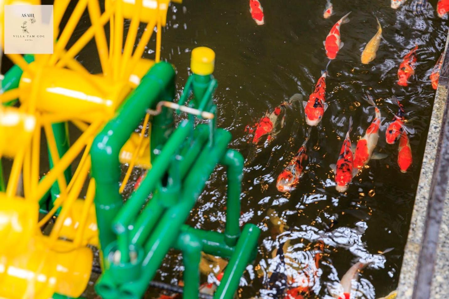 Asahi Villa Tam Coc Ninh Binh Zewnętrze zdjęcie